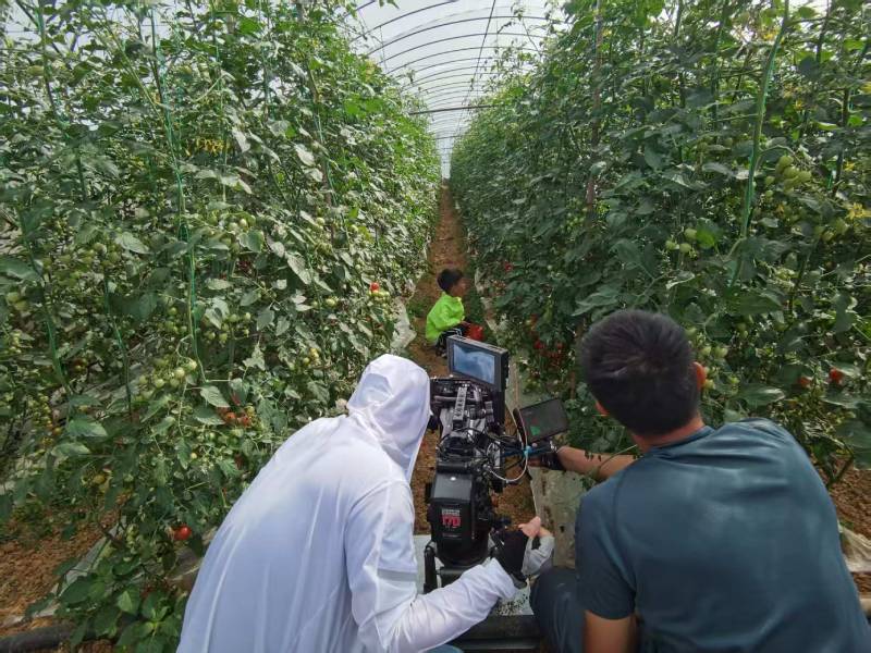 孟津县产品宣传视频拍摄公司进阶指南，助力品牌抢占传播高地